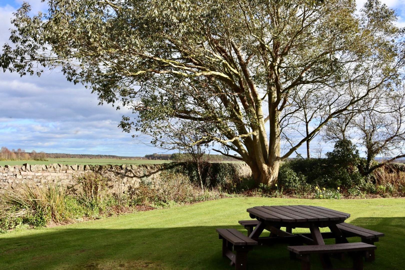 Vicarsford Farmhouse With Hot Tub Leuchars Екстер'єр фото